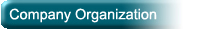 Company Organization