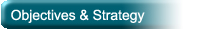 Objectives & Strategy